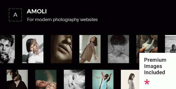Amoli - Fashion Photography WordPress Theme