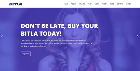 Bitla - Multipurpose Responsive Template