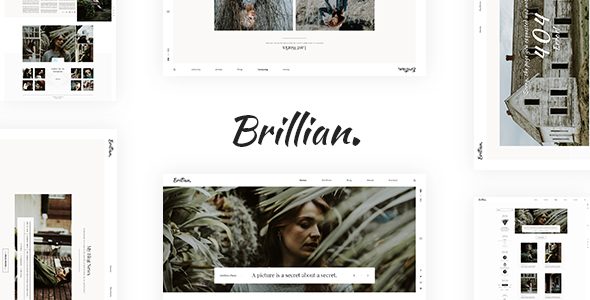 BRILLIAN - Photography, Personal, Blog HTML Template
