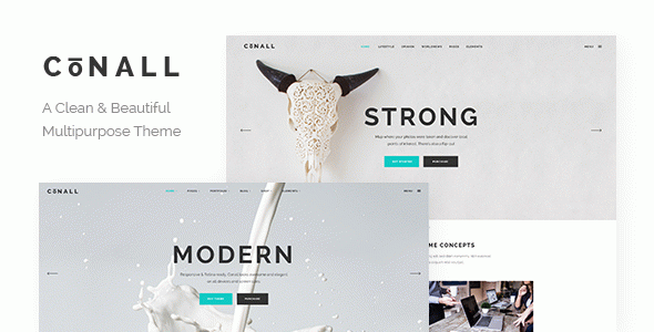 Conall - Clean Multipurpose WordPress Theme
