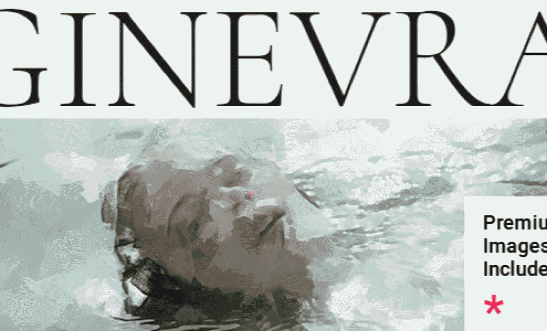 Ginevra ??? Artist Portfolio Theme