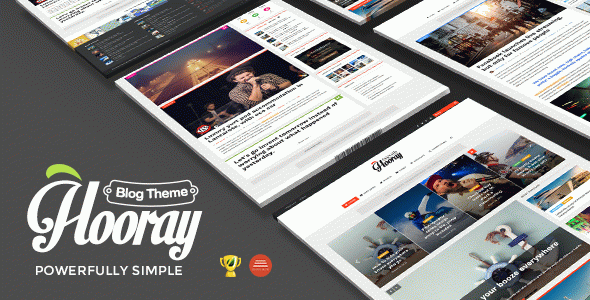Hooray ??? Blog WordPress theme for Professional Writers
