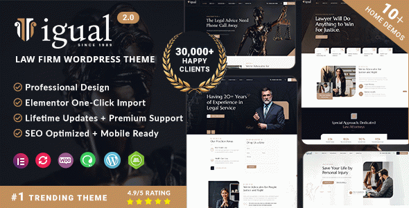 Igual - Lawyer, Attorney & Law Firm WordPress Theme
