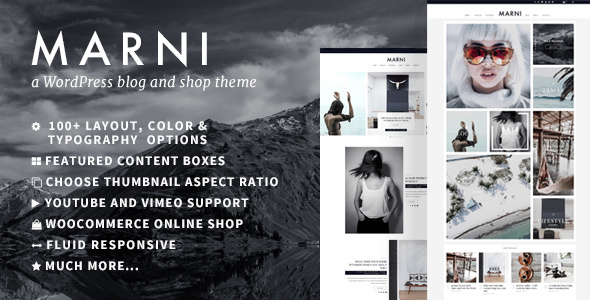 Marni ??? a WordPress Blog & Shop Theme