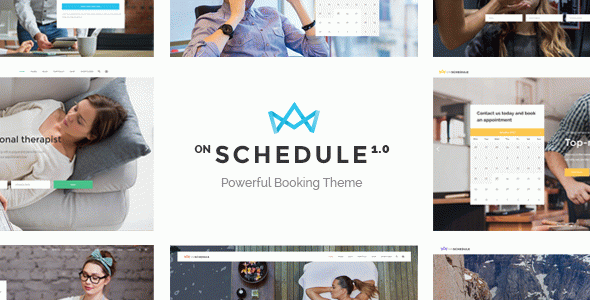 OnSchedule - Retail Booking WordPress Theme