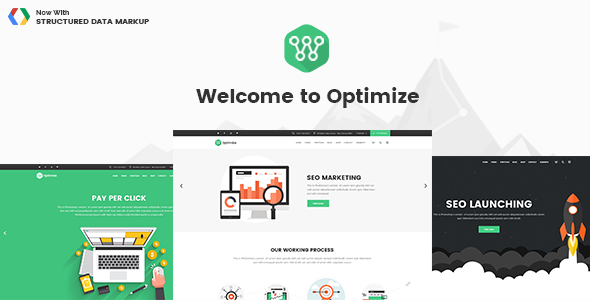 Optimize - SEO & Social Media WordPress Theme