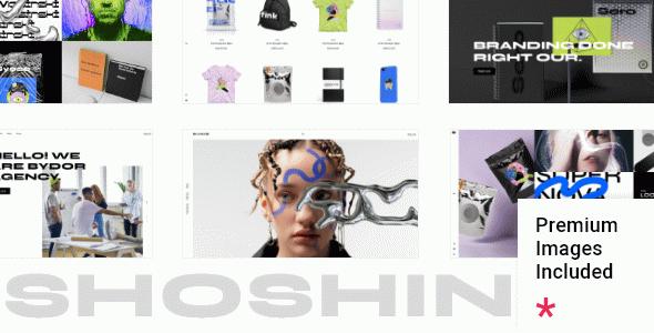 Shoshin - Digital Agency WordPress Theme