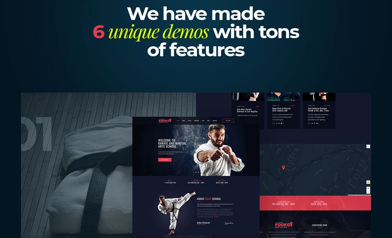 Youko Martial Arts WordPress Theme